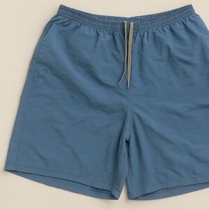 Patagonia Men's Blue Athletic Shorts